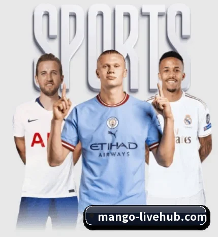芒果体育围绕看球场景设计的核心服务 | mangosports